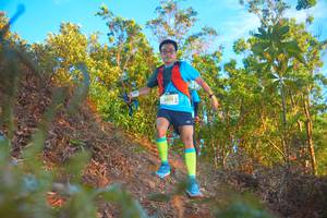 BIB: 2015
                            <button type="button" onclick="openModal(21832801)" class="btn btn-primary btn-sm float-right btn-popup" data-toggle="modal" data-target=".modal-high-quality">
                        <i class="fas fa-shopping-cart"></i> Add to Cart
                    </button>
                                            <button type="button" onclick="isThisMe(21832801, true)" class="btn btn-success btn-sm float-right btn-popup btn-isme hidden" data-toggle="tooltip" data-placement="bottom" title="นี่คือรูปของคุณใช่ไหม คลิกที่นี่เพื่อเอาเข้าอัลบั้ม">
                        <i class="fas fa-plus"></i> Add to album
                    </button>
                    <button type="button" onclick="isThisMe(21832801, false)" class="btn btn-warning btn-sm float-right btn-popup btn-isnotme hidden">
                        <i class="fas fa-ban"></i> Remove from album
                    </button>